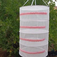 توری خشک کن میوه و سبزی