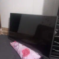 تلویزیون|تلویزیون و پروژکتور|بیرجند, |دیوار