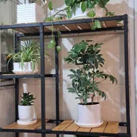 تولید وارسال رگال برای کل کشور|فروشگاه و مغازه|کوهدشت, |دیوار