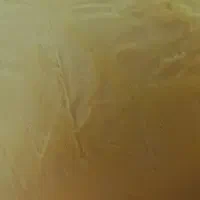 جوجه جوجه طلایی تو دوست خوب مایی|اسباب‌بازی بچه|لاهیجان, طالقانی|دیوار