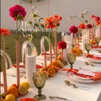 تجهیزات تشریفات عقد و عروسی مهمانی سمینار و همایش