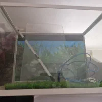 آکواریوم شرکتی