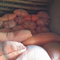 کاه خرمن کوب مرغوب امسال