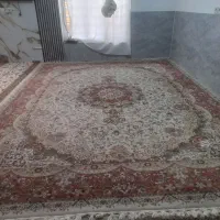 قالی|فرش|سیرجان, |دیوار