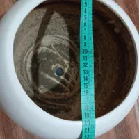 گلدان سرامیکی و پلاستیکی|گل و گیاه طبیعی|هشتگرد, فاز ۲ مهستان|دیوار