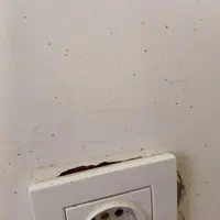 سمپاشی سوسک ساس موش سم پاشی تضمینی ۱۰۰درصدی|خدمات نظافت|کهریزک, |دیوار