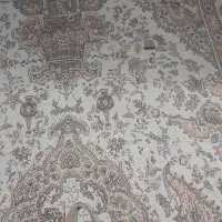 دوتخته فرش ۶ متری  رنگ قرمز|فرش|رشت, پل تالشان|دیوار