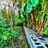 ویلا دزفول امکان رزرو حضوری|اجارهٔ کوتاهمدت ویلا و باغ|اهواز, کوروش|دیوار