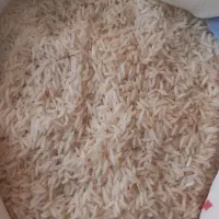 طارم هاشمی و سرلاشه و طارم فجر معطر
