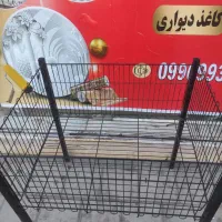 رگال و قفسه بندی و نورپردازی|کتابخانه، شلف، قفسه‌های دیواری|کاشان, فاز ۲ ناجی آباد|دیوار