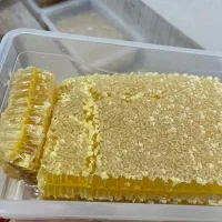 عسل طبیعی