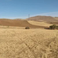 زمین زراعی|فروش دفتر صنعتی، کشاورزی، تجاری|ایجرود, |دیوار