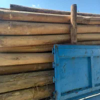 خریدچوب‌خشک‌ودرخت