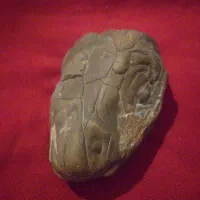 سنگ شبیه سرمار