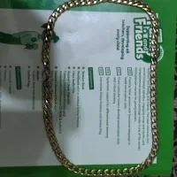 زنجیر طلایی بدل