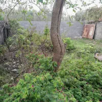 فروش زمین ۱۹۸م مسکونی سند تک برگ