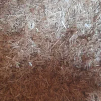 کاه دانه گندم|لوازم جانبی حیوانات|مانه, |دیوار