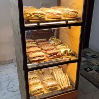 نصاب  انواع رگال و ویترین