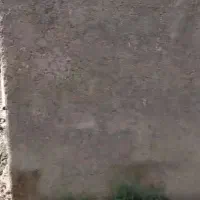 مغازه اجاره 10میلیون