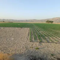 فروش ۲ هکتار در کوشک بیدک