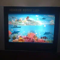 شب خواب دریا روان