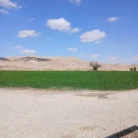 فروش-زمین-کشاورزی-دیم