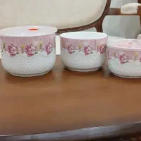 ظرف نگهدارنده