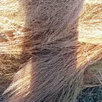 جارو دستی|لوازم نظافت|میاندوآب, |دیوار
