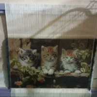 تابلو فرش و تمامی خدمات شینیون ومیکاپ،بندو اصلاح