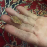 سنگ قیمتی