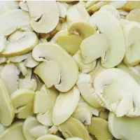 فروش قارچ دکمه ای
