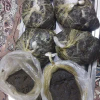 سبزی سرخ شده