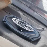 پژو آردی دوگانه دستی مدل 85|خودرو سواری و وانت|زاهدان, |دیوار