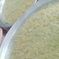 سمنواعلاخانگی مصباح|خوردنی و آشامیدنی|کرج, ساسانی (قلمستان)|دیوار