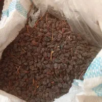 کشمش‌بیدانه‌کیلو۲۰۰