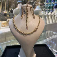 سرویس شنل