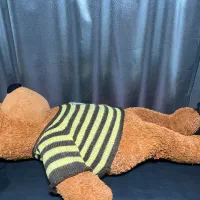 عروسک|اسباببازی|ابهر, |دیوار