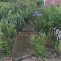 خانه باغ ۳۵ متری باغ۱۰۰۰ متری|فروش خانه و ویلا|بجنورد, |دیوار