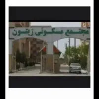 مجتمع‌زیتون