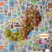 نمگیر ضد اب ،چهار لایه ،و میوه برجسته|سفره، حوله، دستمال آشپزخانه|گرگان, |دیوار