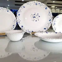 سرویس های آرکوپال عمده|ظروف سرو و پذیرایی|کرمان, |دیوار