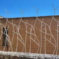 شهرمیلگرد پروفیل ناودونی ورق تیرچه خین عرب|عمده‌فروشی|مشهد, کشاورز|دیوار