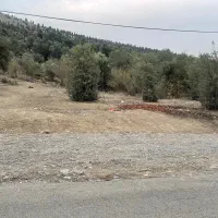 فروش-مرغداری-40-هزارتایی