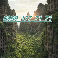 09991777171