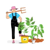 باغبانی و هرس و بریدن درخت و چمن زنی و پاکسازی|خدمات باغبانی و درختکاری|رشت, باهنر|دیوار