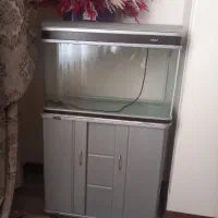 آکواریوم ماهی