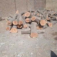 خریدارچوب|خدمات باغبانی و درختکاری|ملایر, |دیوار