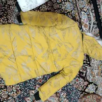 کاپشن دخترانه|لباس|سنندج, |دیوار