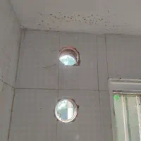 شرکت کرگیری گردبر امیری|خدمات پیشه و مهارت|بوشهر, |دیوار