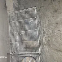 قفس پرنده|لوازم جانبی حیوانات|مشهد, هفده شهریور|دیوار